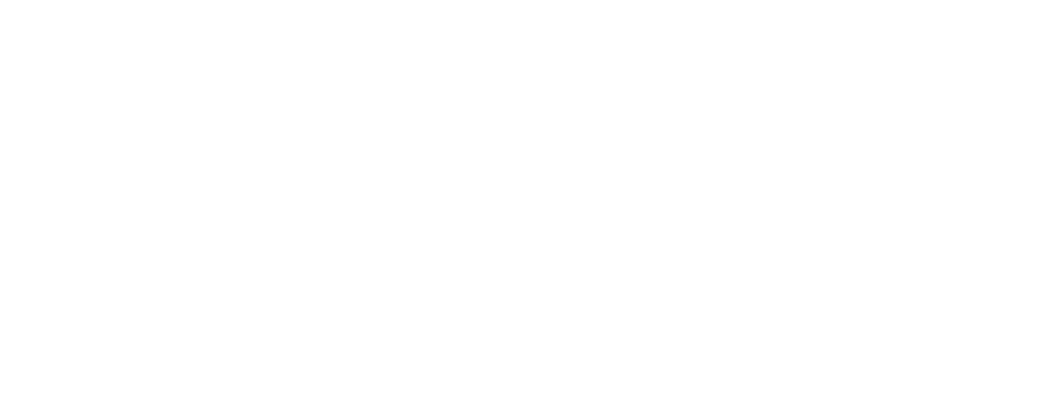 D’Fontana Logo